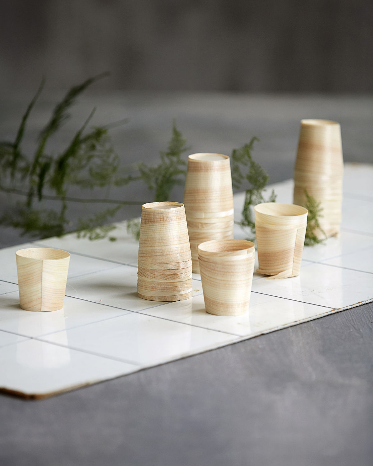 Birch - Cup, Pack of 24 pcs